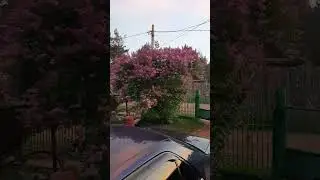 красота