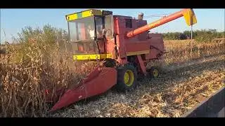 VRSA KUKURUZA 2023 | ZMAJ 142 U PIONIRU 9911| Majur,Jagodina