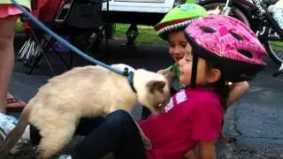 2015 Full time RV Family Fulltime Families Tampa, FL Rally