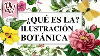 ¿Qué es la ilustración botánica?