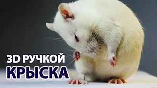 3D PEN ART | RAT | КАК НАРИСОВАТЬ КРЫСУ 3D РУЧКОЙ | 2020