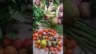 உடுமலை உழவர் சந்தை . Today purchase.
