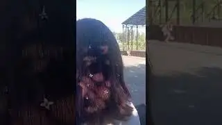 обожаю сирень💜