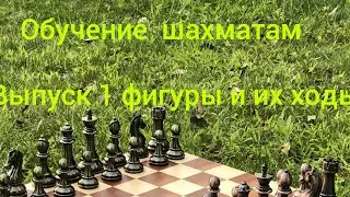 обучаю игре в шахматы выпуск 1  Фигуры и их ходы  #кубокмирапошахматам2023