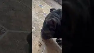 Ну в таком виде ок🤣