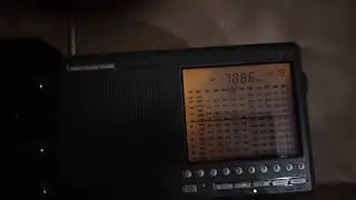Degen 1103 pll vs Tecsun 990x LSB