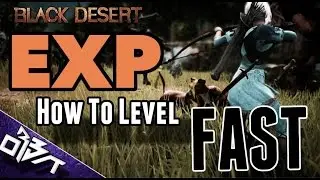 Black Desert Online | EXP Types & HOW TO LEVEL UP FAST!