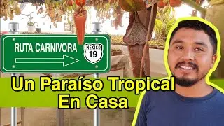 La Ruta Carnívora Vol.19 - Carlos Pérez - El secreto para tener una selva tropical en casa