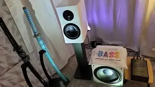 LIVE Session - Just Chatting
