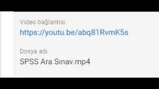 SPSS Ara Sınav