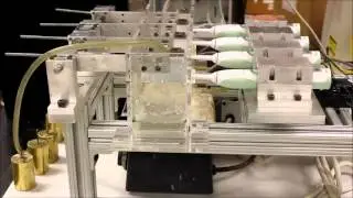 Toothbrush machine