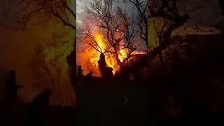 Orman yangınları işte böyle başlıyor , sebep olanlara en ağır cezalar verilmeli.