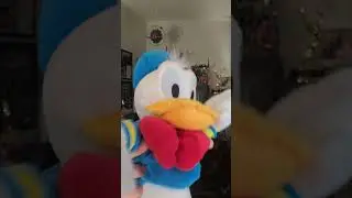 Very #mindful, very #demure #donaldduck