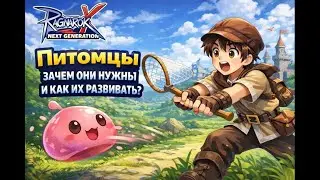 Ragnarok X Pet Guide: Benefits, Leveling, and Differences