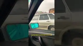 Бубоник встретил бродягу😳😳