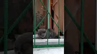 Пойти не пойти.