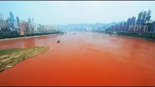 Mao Цзэдун 06 Великий союз народных масс