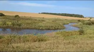 Речка осенью.