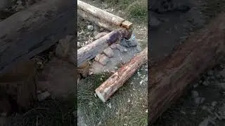 Стройка избы на Двине, 28.08.2024