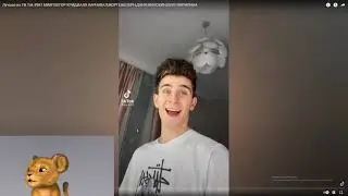 Котик Томи Реагирует на Тик-Ток!
