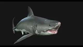 (Unreal Engine) Great White Shark