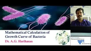 Mathematical Calculation - Growth Curve of Bacteria