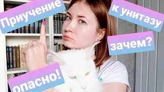 ЖИЗНЬ С МЕЙН-КУНАМИ / ПРИУЧЕНИЕ КОШЕК К УНИТАЗУ