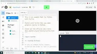 Python  -  Drawing With Turtle