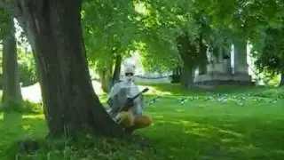 Stadin Lokki - Devil in Disguise ~ukulele