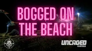 BUGGIES Bogged on the Beach FNQ