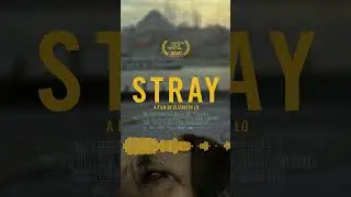 Ali Helnwein - Stray (score)