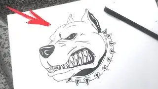 Como Desenhar um cachorro, PITBULL, Bravo, Desenhos faceis 🐕🐕🐕