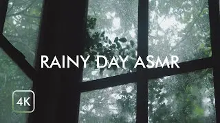 1hr Relaxing Rain Sounds Ambience with Nature View for Relax , Sleep , Study , Focus | 4K ASMR