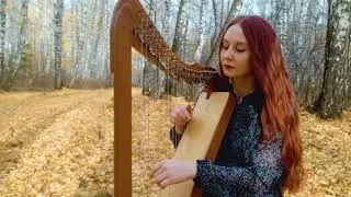 Mr.Kitty – Empty Phases || harp cover