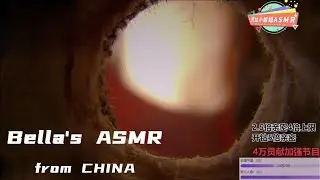 【贝拉小姐姐 ASMR】高能小孔成像，略略略，纯享