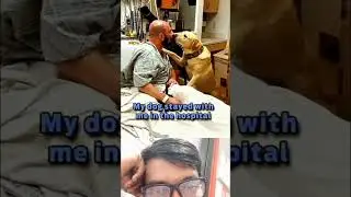 #foryou #gmaolafr #reaction #viral #reels #youtubeshorts #youtubeshorts #funny #hindi #ytshorts