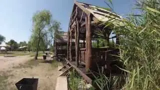Жук