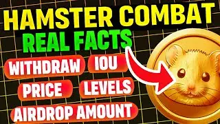 Hamster Combat REAL FACTS!! MUST WATCH before its too Late!!