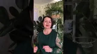 Көнһылыу Ҡыҙрасова   Талдарым