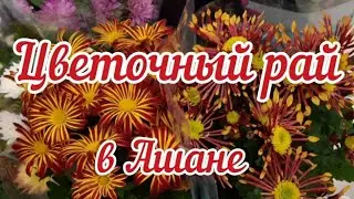 Цветы в Ашане к 8-му марта. Цены на цветы, конфеты, Мартини 