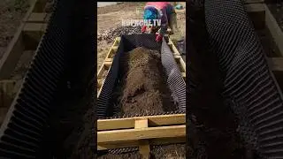 Високі теплі грядки з старих піддонів 