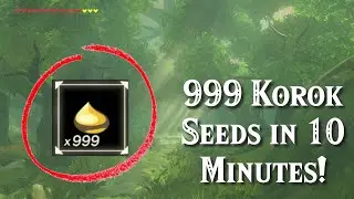 Get 999 Korok Seeds in Under 10 Minutes in Zelda Breath of the Wild!