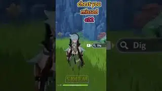 CHEST YOU MISSED IN TEYVAT PART 22 