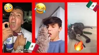 HUMOR MEXICANO #8 Si Te Ríes Pierdes🇲🇽🔥