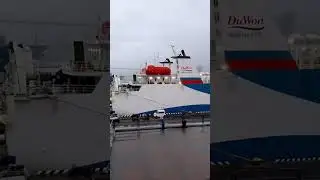 Город Владивосток UMED TB 2024
