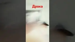 30 июля 2024 г.