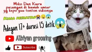 Durasi 15 menit wikwik [[ tonton sampe abis ..wkwkwk