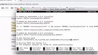 Setting Up Flutter Framework on a Mac in 2mins  Permanently adding Path to MAC