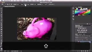 Adobe Photoshop 
