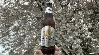 SAPPORO PREMIUM BEER | Sapporo Breweries Ltd, Tokyo, Japan | Live Beer Review (MACRO MONDAY)